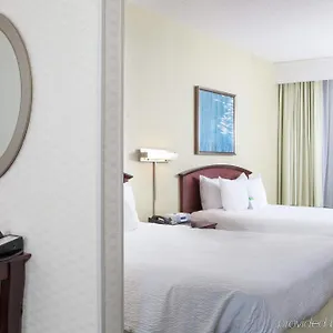 springhill-suites-by-marriott-norfolk-virginia-beach.hotels-in-virginia-beach.com/